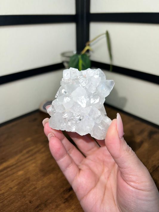 apophyllite cluster raw crystal Shuga Gems gift idea